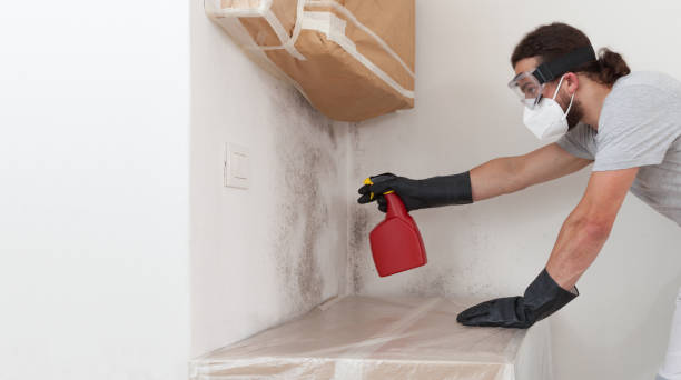 Professional Bathroom Mold Removal technician working in Brighton, CO